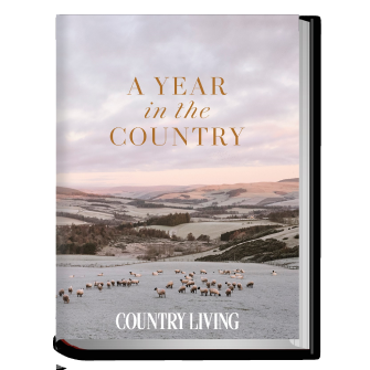 A Year in the Country book